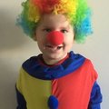 Clownnäsa - skumgummi Clownnäsa - skumgummi