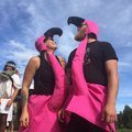 Två flamingos som ska paddla kanot på Svågan, Hälsingland.