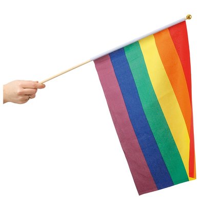 Regnbgs handflagga 30 x 40 cm