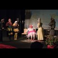 Både grisens kjol och tuppens dräkt är från zingland