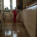 Hmm har vi fått in oknytt i köket?! :-)
