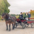 Mycket stabil hatt för pengarna!