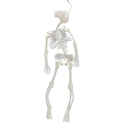 Sjlvlysande skelett