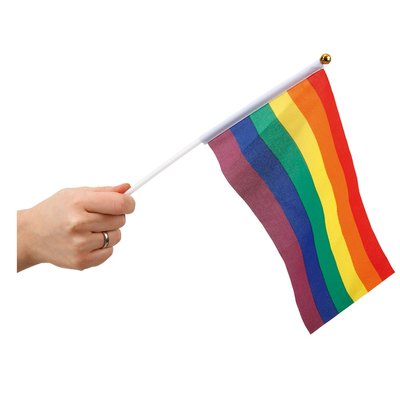 Regnbgs handflagga 6-pack