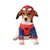 Spindelmannen hundmaskerad - Large