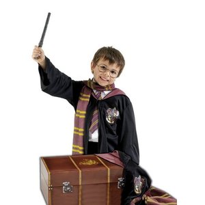 Harry Potter bagage