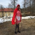 Rödluvan ute på vift.