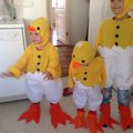 Tre nyckläckta kycklingar (en 3 år, 3 1/2 år, 6 år)