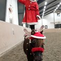 Tomtenisse i stallet på en liten ren:) Tomteklänning och tomteluva till barn