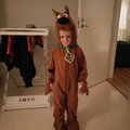 min son tog hem första pris på halloween disco, som scooby doo :D tack för ett bra köp :D
