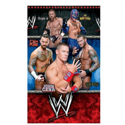 WWE Wrestling pappersbordsduk - 1,37m x 2,59m