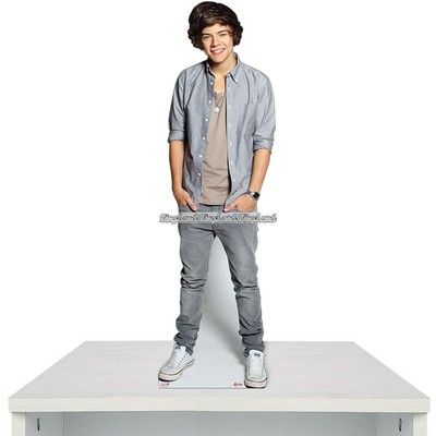 Harry Styles st�ende pappfigur - 42cm