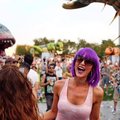 Bilden föreställer mig på min första resa till sago- musik- och dansparadiset/festivalen Tomorrowland i Belgien. Åkte dit tillsammans med mina 3 bästa vänner och vi hade länge planerat outfits varav peruken var pricken över i:et. Just på den här bilden är vi överlyckliga när svenska dj:n John Dahlbäck går på och ska spela samtidigt som massa gigantiska mekaniska kryp börjar röra sig ut på dansgolvet. En helt galet rolig och oförglömlig helg!