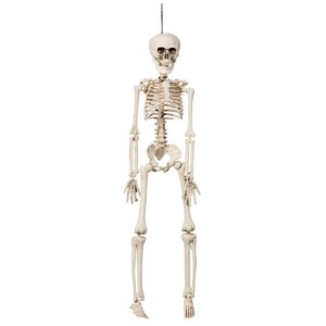 Hängande skelett 42 cm