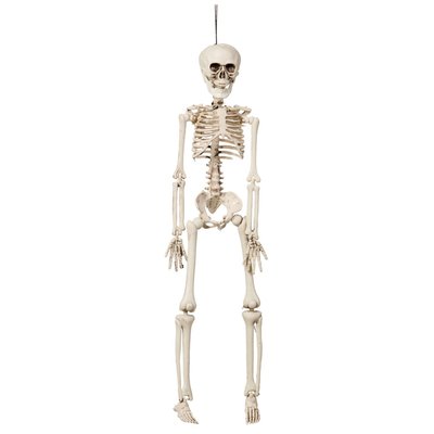 Hngande skelett 42 cm